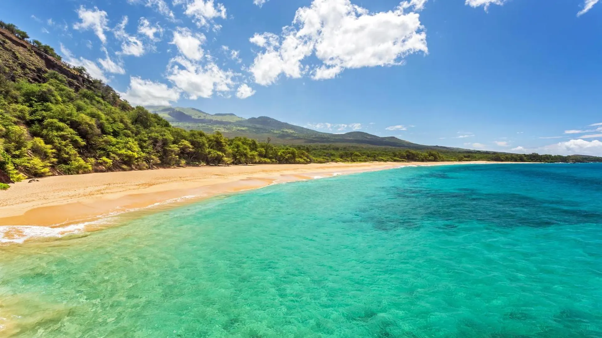 Kamaole Sands 1-305 Wailea  Holiday home Wailea (Maui)