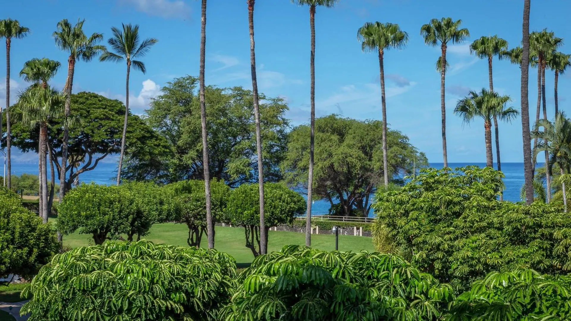 Kamaole Sands 1-305 Wailea  United States